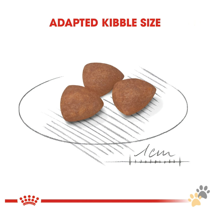 ROYAL CANIN MINI INDOOR PUPPY DRY FOOD