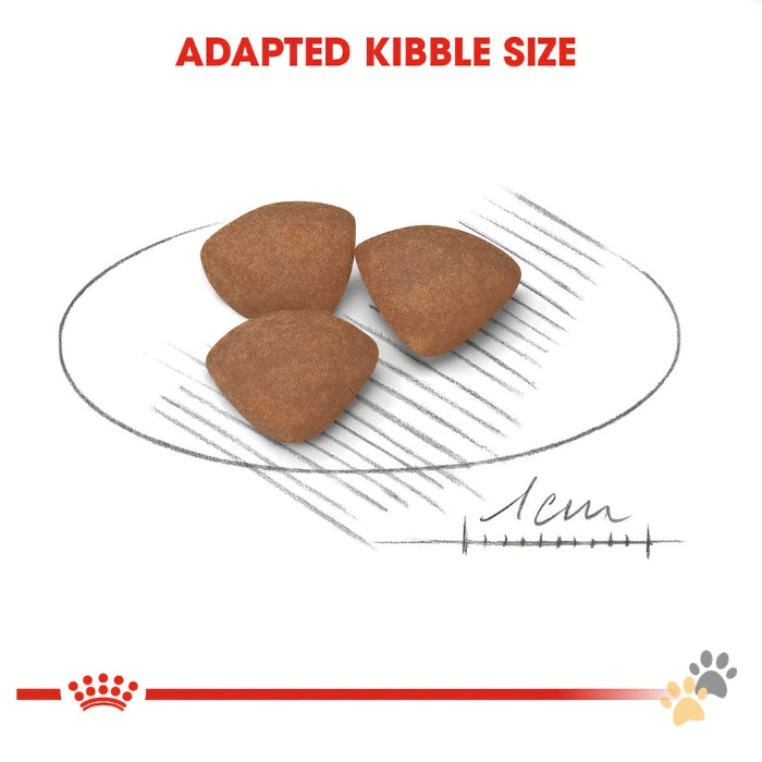 ROYAL CANIN MINI PUPPY DRY FOOD