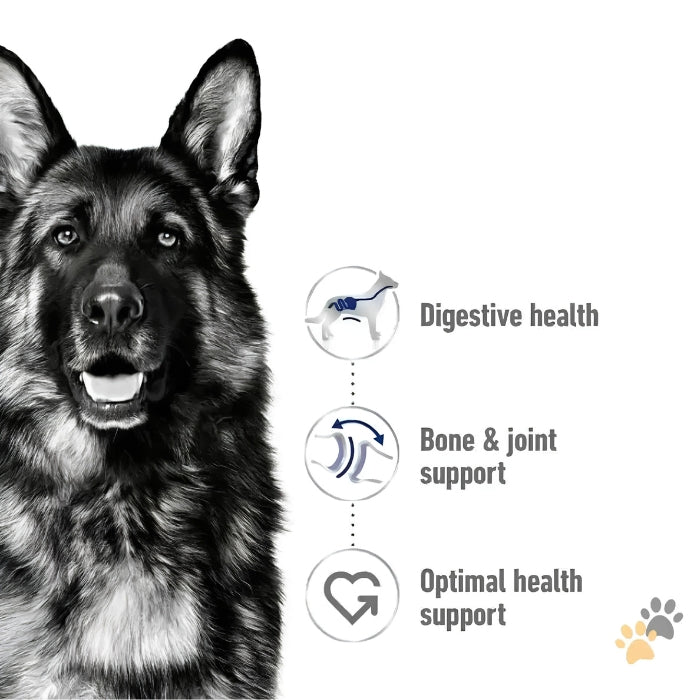 ROYAL CANIN MAXI ADULT DRY DOG FOOD