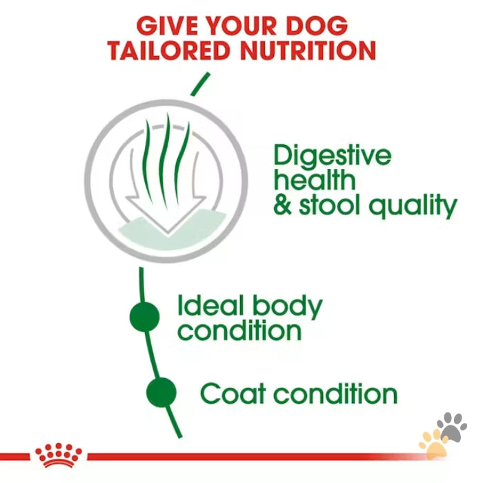 ROYAL CANIN MINI INDOOR ADULT DRY DOG FOOD