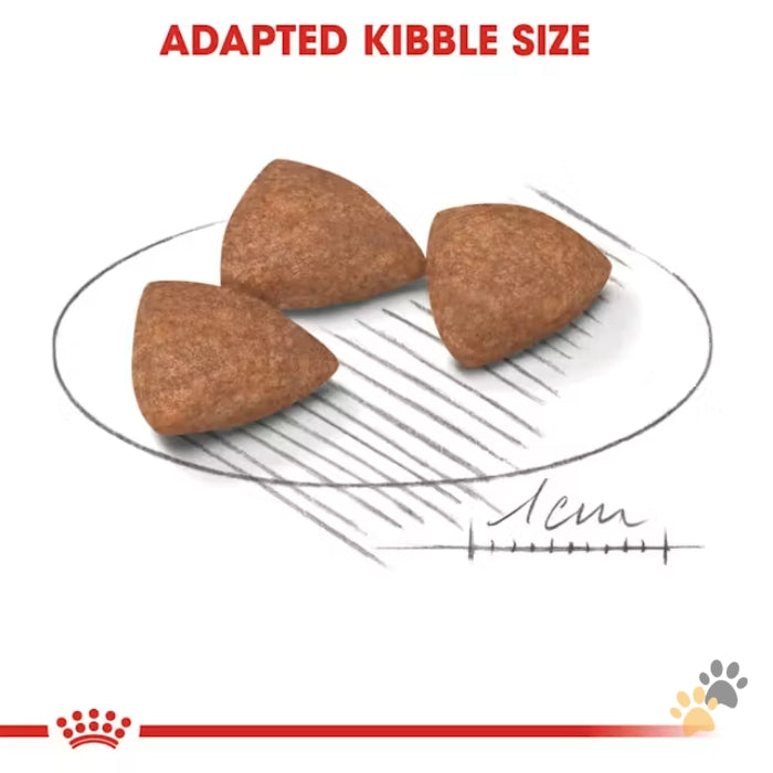ROYAL CANIN MINI INDOOR ADULT DRY DOG FOOD