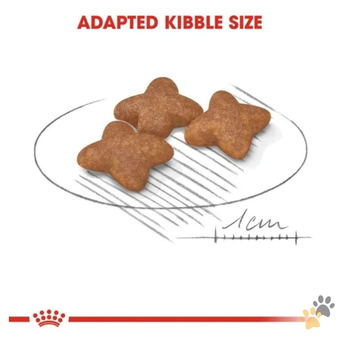 ROYAL CANIN MINI ADULT DRY DOG FOOD