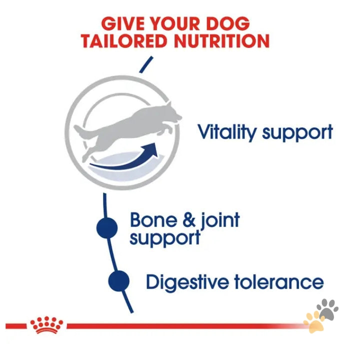 ROYAL CANIN MAXI ADULT 5+ DRY DOG FOOD