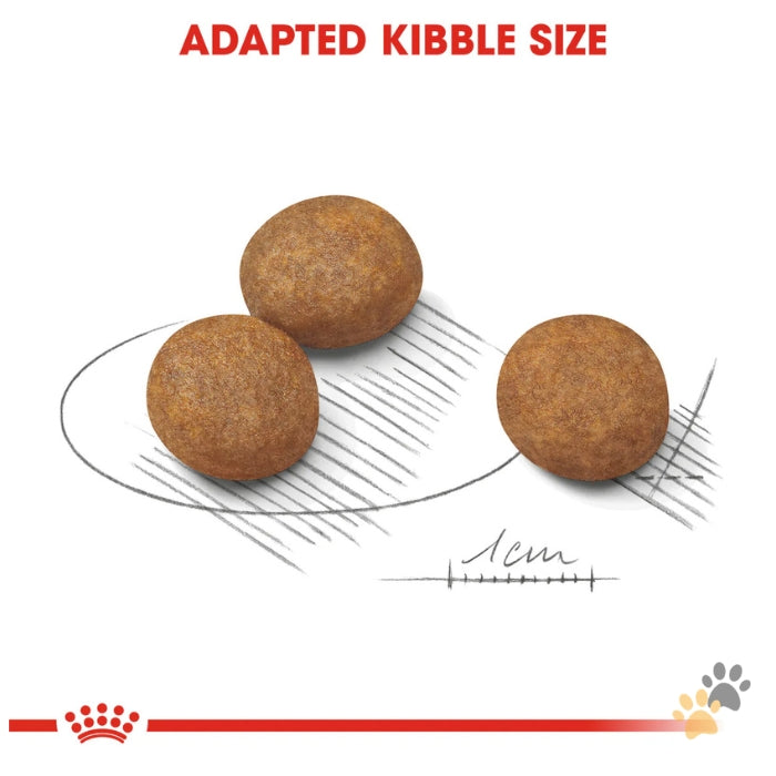 ROYAL CANIN MAXI PUPPY DRY FOOD