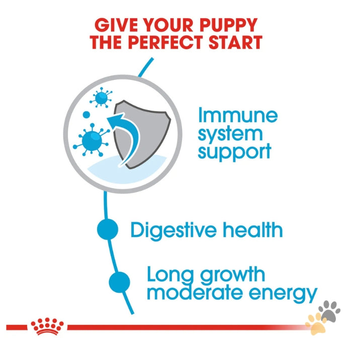 ROYAL CANIN MAXI PUPPY DRY FOOD