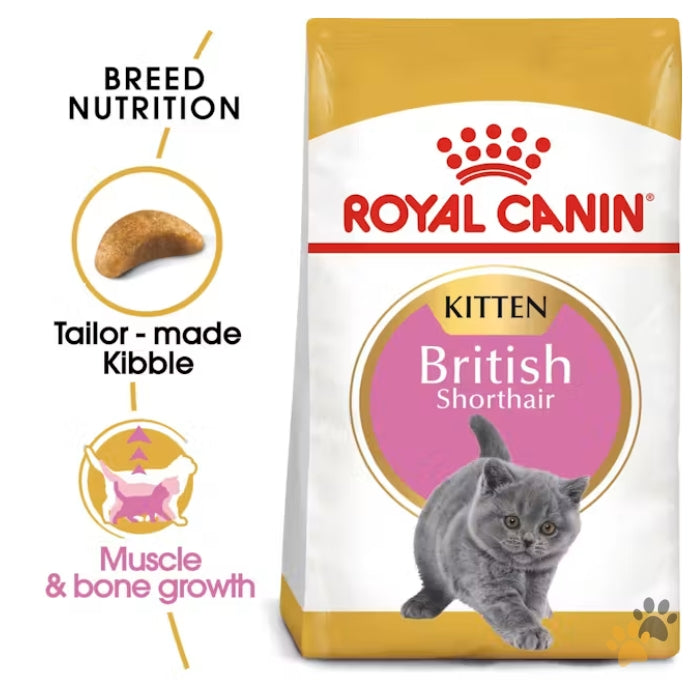 ROYAL CANIN FELINE BREED NUTRITION BRITISH SHORTHAIR DRY KITTEN FOOD