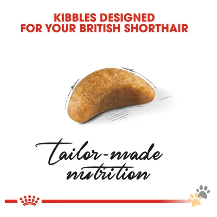 ROYAL CANIN FELINE BREED NUTRITION BRITISH SHORTHAIR DRY KITTEN FOOD