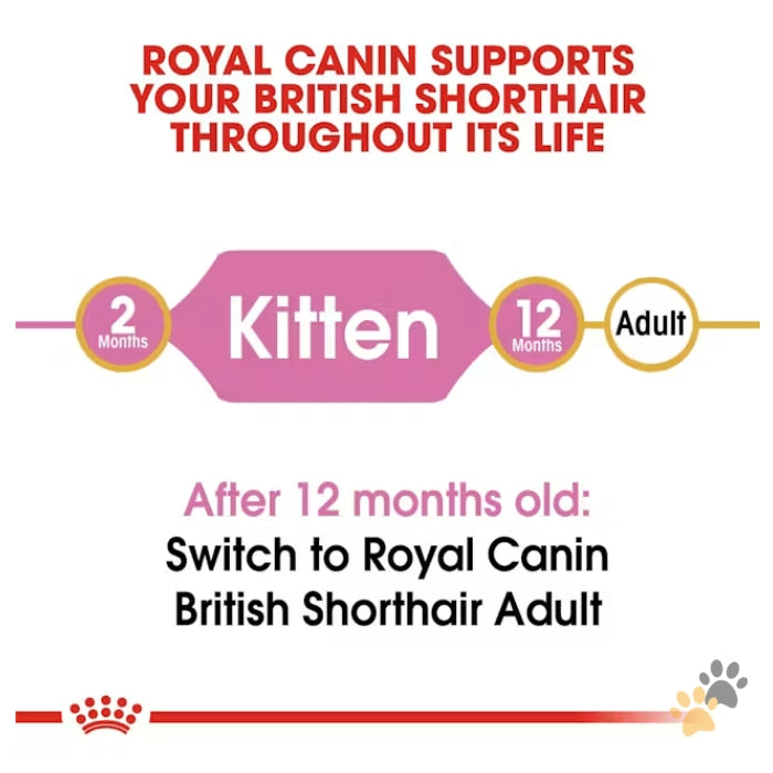 ROYAL CANIN FELINE BREED NUTRITION BRITISH SHORTHAIR DRY KITTEN FOOD