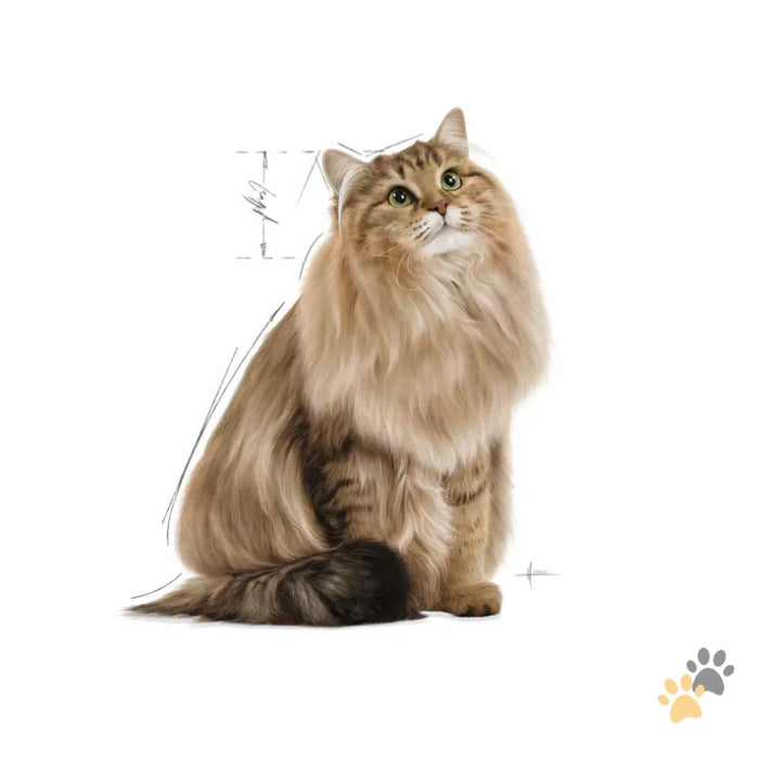 ROYAL CANIN FELINE CARE NUTRITION HAIRBALL GRAVY WET FOOD