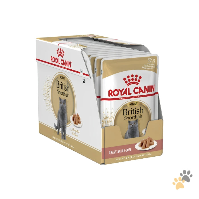 ROYAL CANIN FELINE BREED NUTRITION BRITISH SHORTHAIR WET CAT FOOD