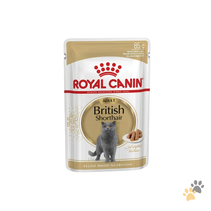 ROYAL CANIN FELINE BREED NUTRITION BRITISH SHORTHAIR WET CAT FOOD