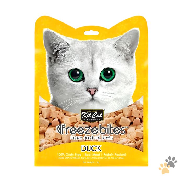 KIT CAT FREEZEBITES