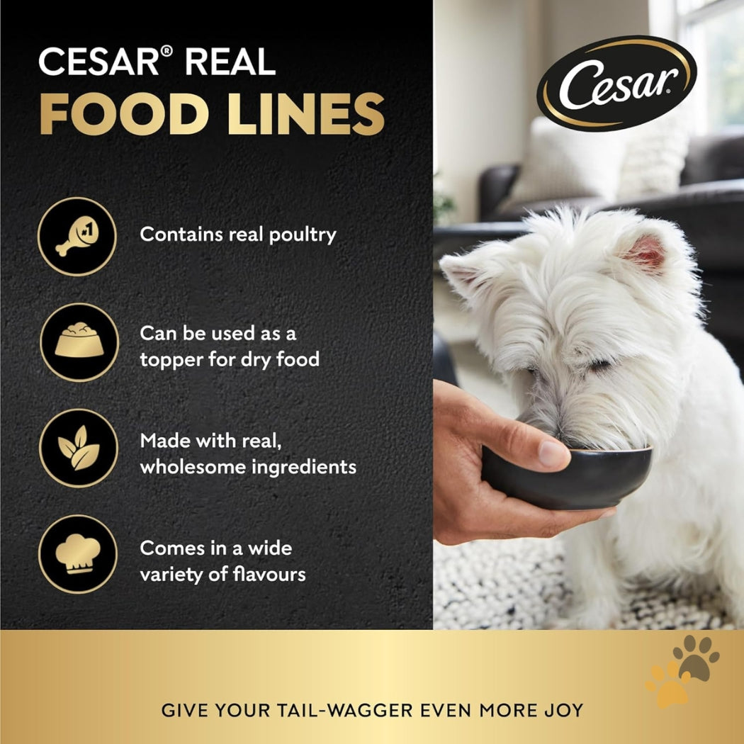 CESAR CHICKEN & VEGETABLES ADULT WET DOG FOOD