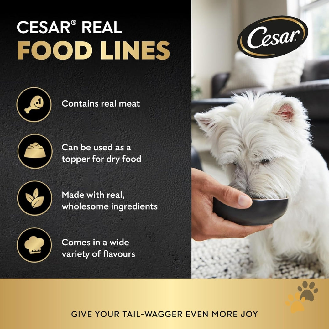 CESAR BEEF & VEGETABLES ADULT WET DOG FOOD