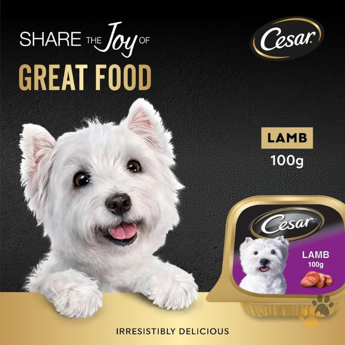 CESAR LAMB ADULT WET DOG FOOD