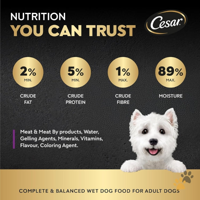 CESAR LAMB ADULT WET DOG FOOD BOX