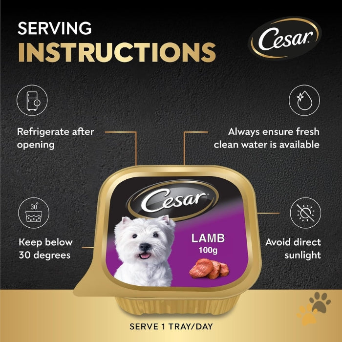 CESAR LAMB ADULT WET DOG FOOD BOX