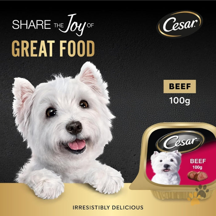 CESAR BEEF ADULT WET DOG FOOD