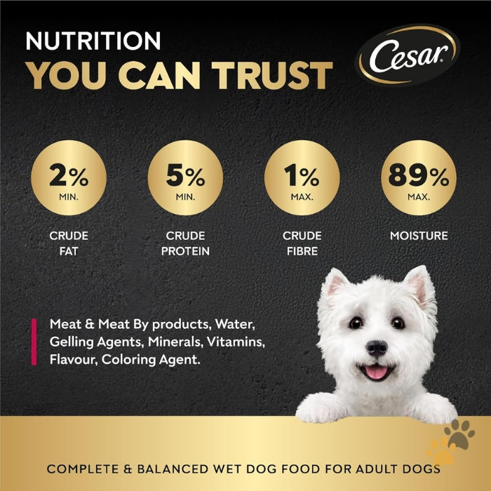 CESAR BEEF ADULT WET DOG FOOD