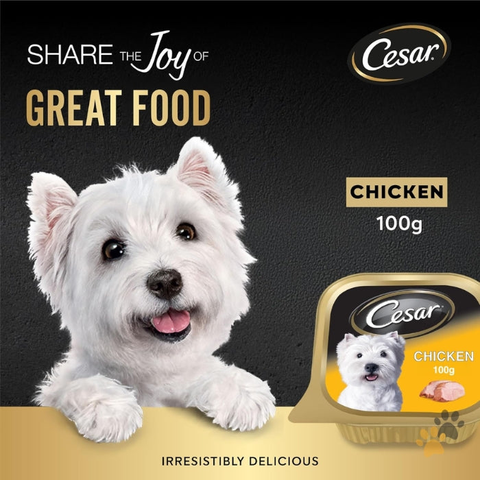CESAR CHICKEN ADULT WET DOG FOOD