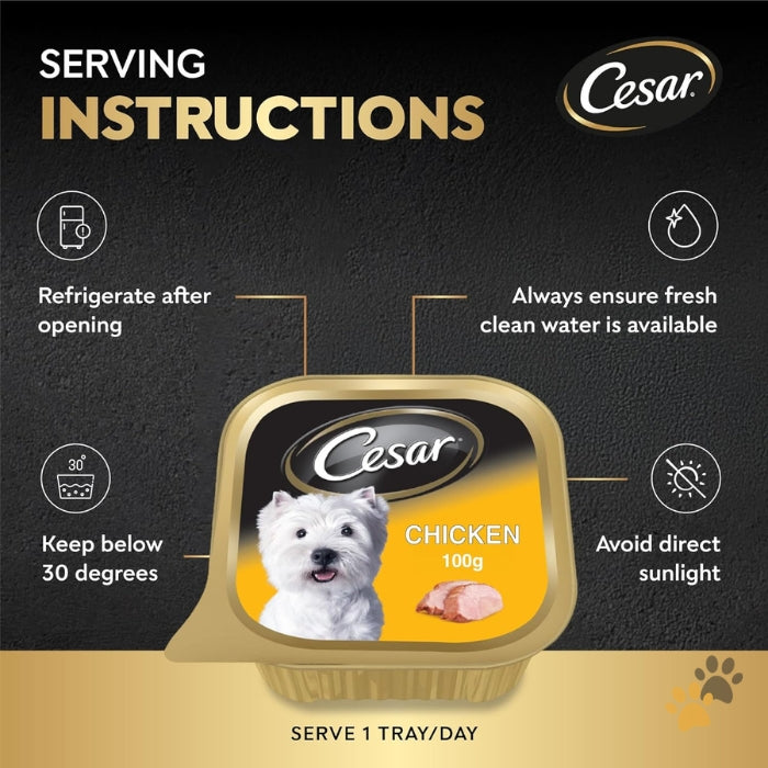 CESAR CHICKEN ADULT WET DOG FOOD