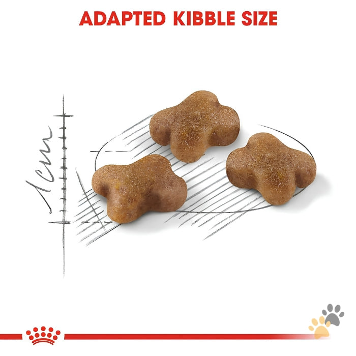 ROYAL CANIN SECOND AGE KITTEN DRY CAT FOOD