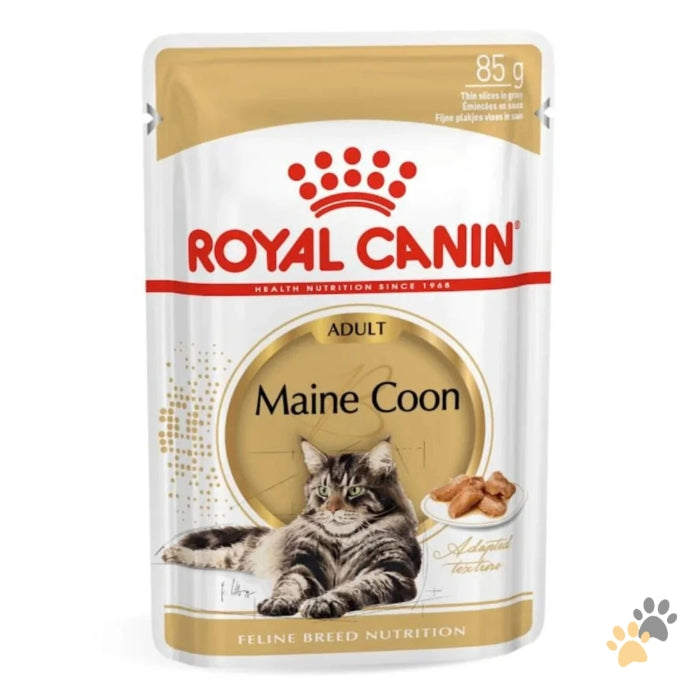 ROYAL CANIN FELINE BREED NUTRITION MAINE COON WET CAT FOOD