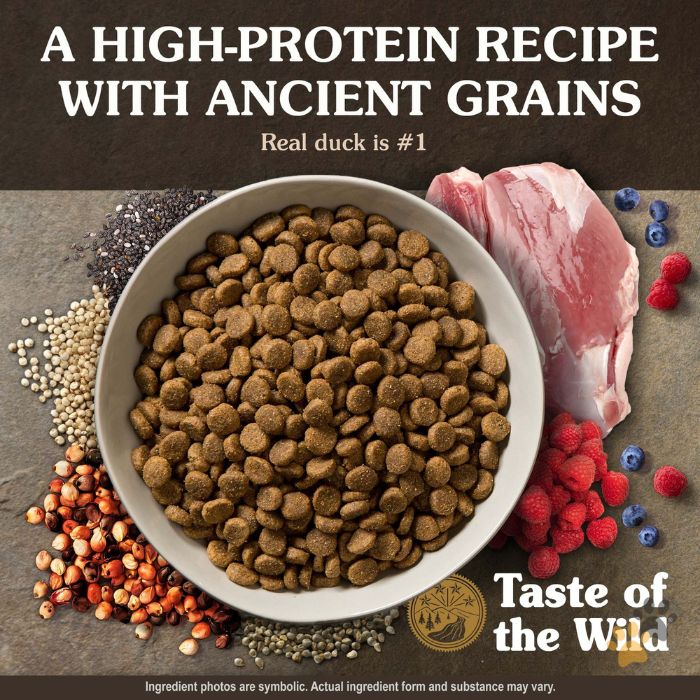 TASTE OF THE WILD ANCIENT WETLANDS CANINE RECIPE WITH ROASTED FOWL DRY DOG FOOD