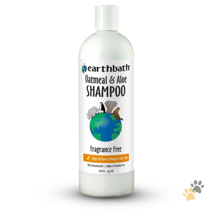EARTHBATH OATMEAL & ALOE ITCH RELIEF SHAMPOO