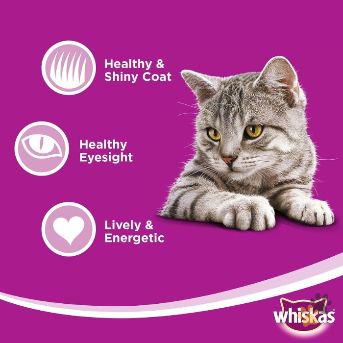 WHISKAS BEEF IN GRAVY