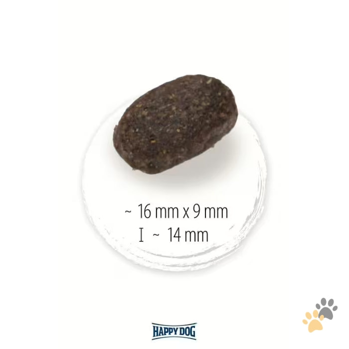 HAPPY DOG NATURCROQ ACTIVE