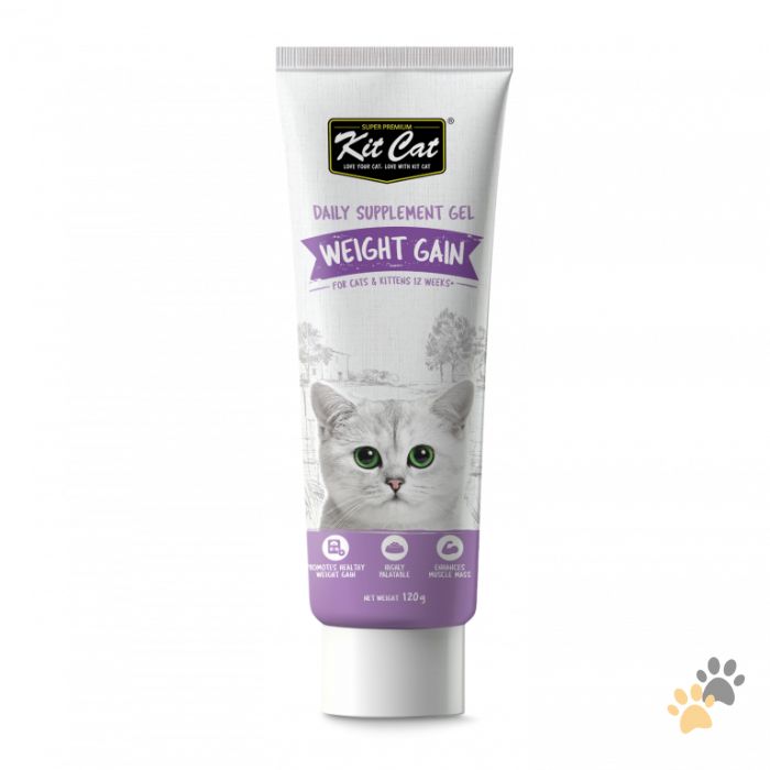 KIT CAT DAILY SUPPLEMENT GEL