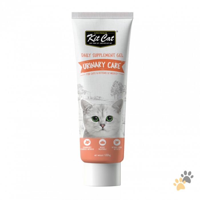 KIT CAT DAILY SUPPLEMENT GEL