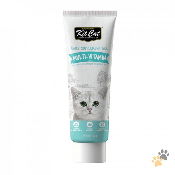KIT CAT DAILY SUPPLEMENT GEL