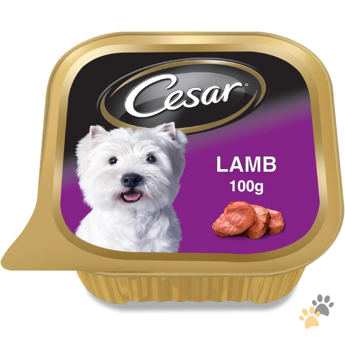 CESAR LAMB ADULT WET DOG FOOD