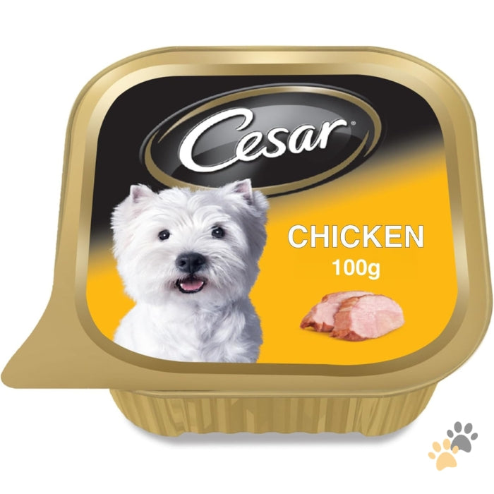 CESAR CHICKEN ADULT WET DOG FOOD