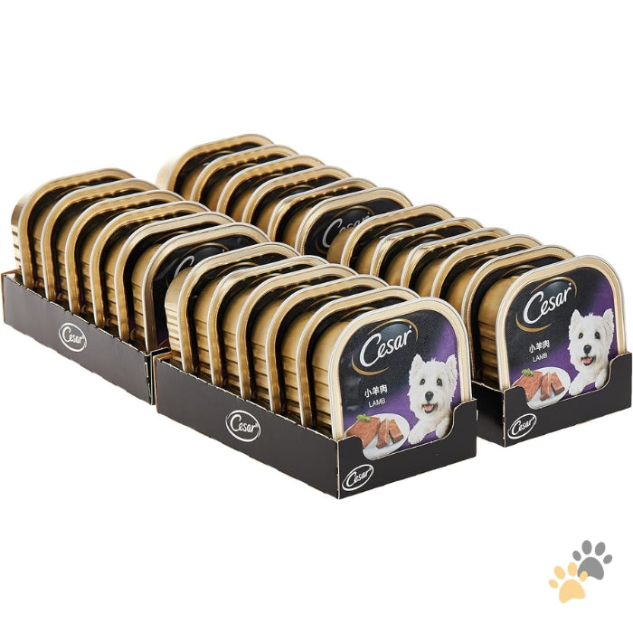 CESAR LAMB ADULT WET DOG FOOD BOX