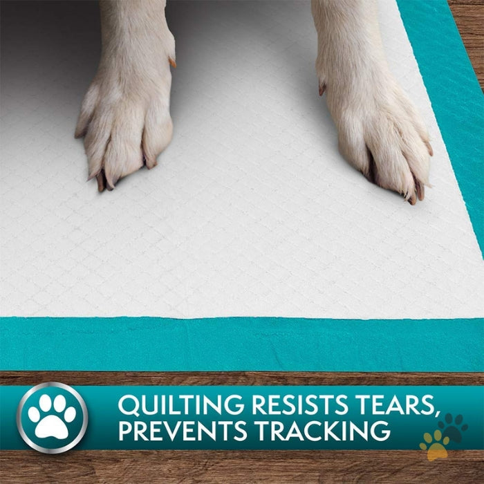 SIMPLE SOLUTIONS PREMIUM TRAINING PADS