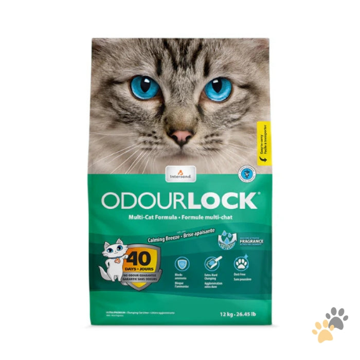 INTERSAND ODOURLOCK CLUMPING CAT LITTER