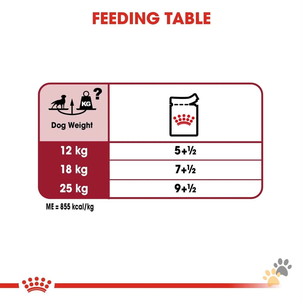 ROYAL CANIN MEDIUM ADULT GRAVY DOG WET FOOD - 10 X 140G