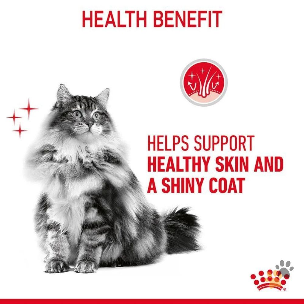 ROYAL CANIN FELINE CARE NUTRITION HAIR & SKIN JELLY (INTENSE BEAUTY)