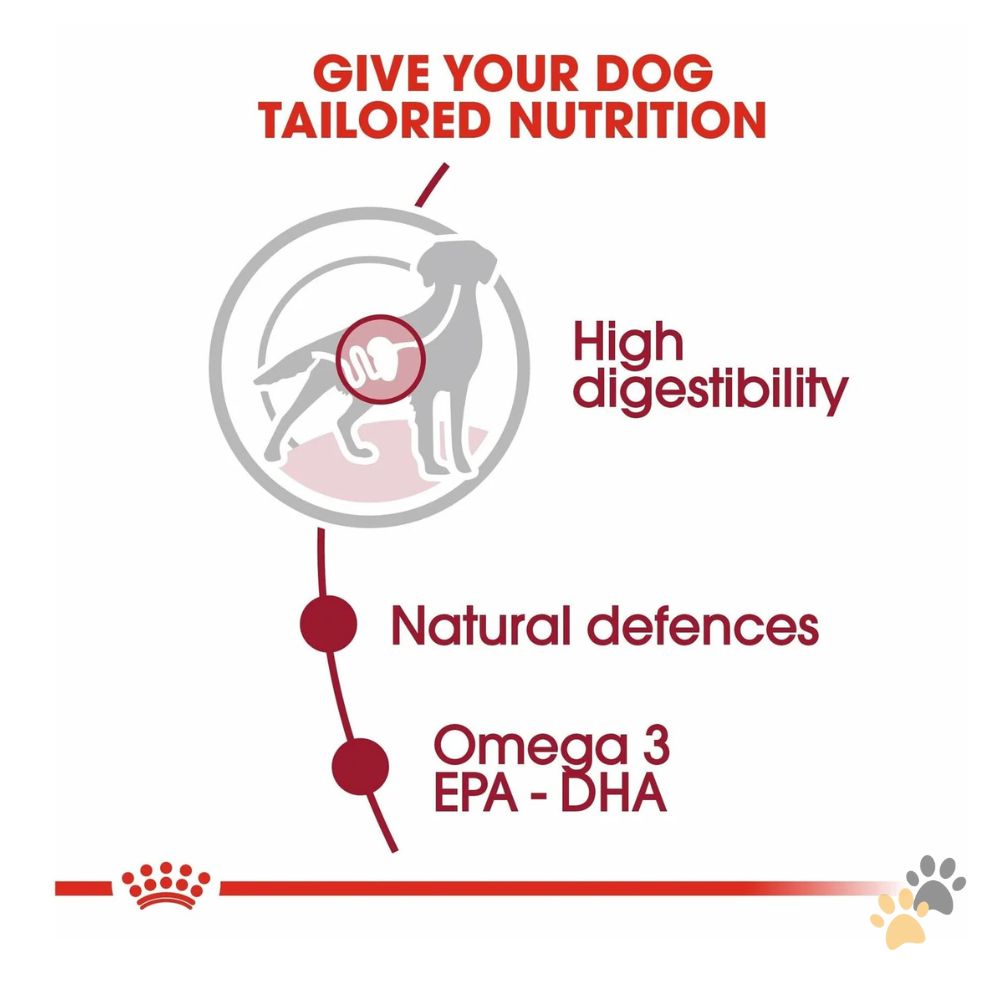 ROYAL CANIN MEDIUM ADULT GRAVY DOG WET FOOD - 10 X 140G