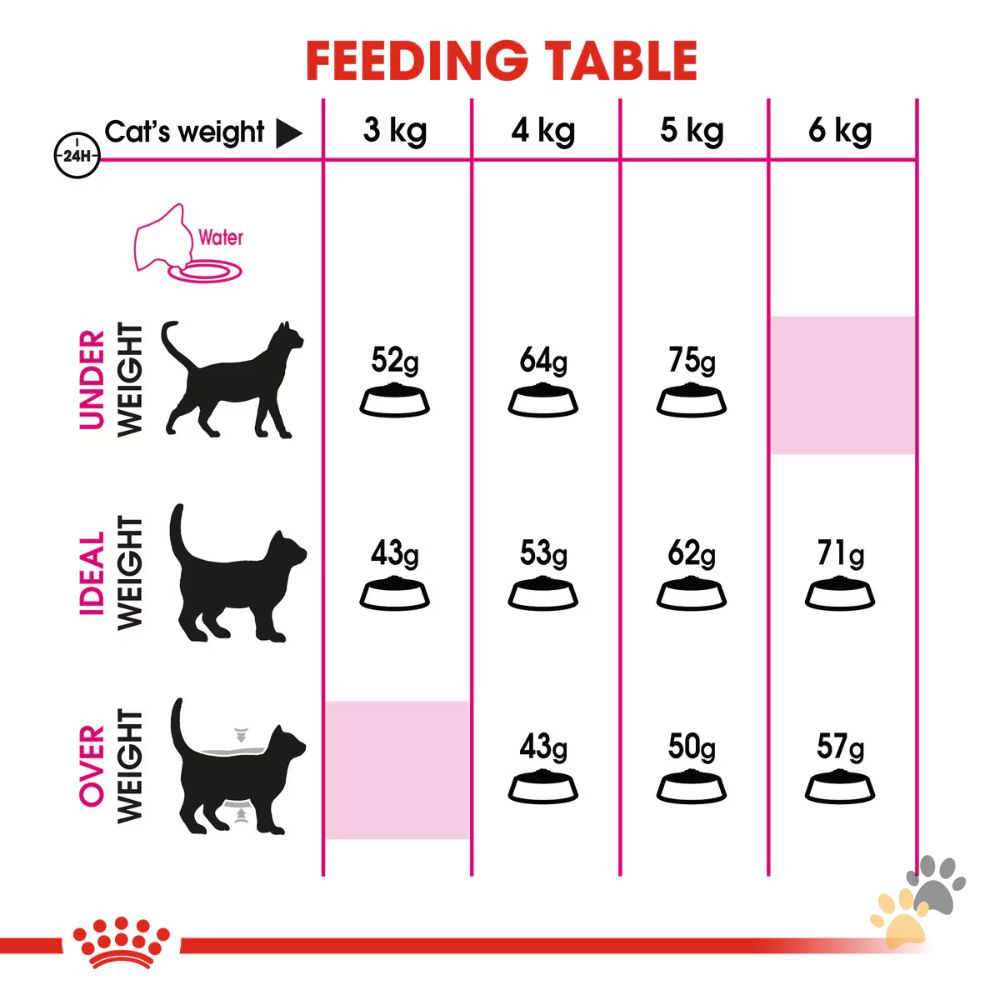 ROYAL CANIN FELINE NUTRITION EXIGENT PROTEIN DRY CAT FOOD