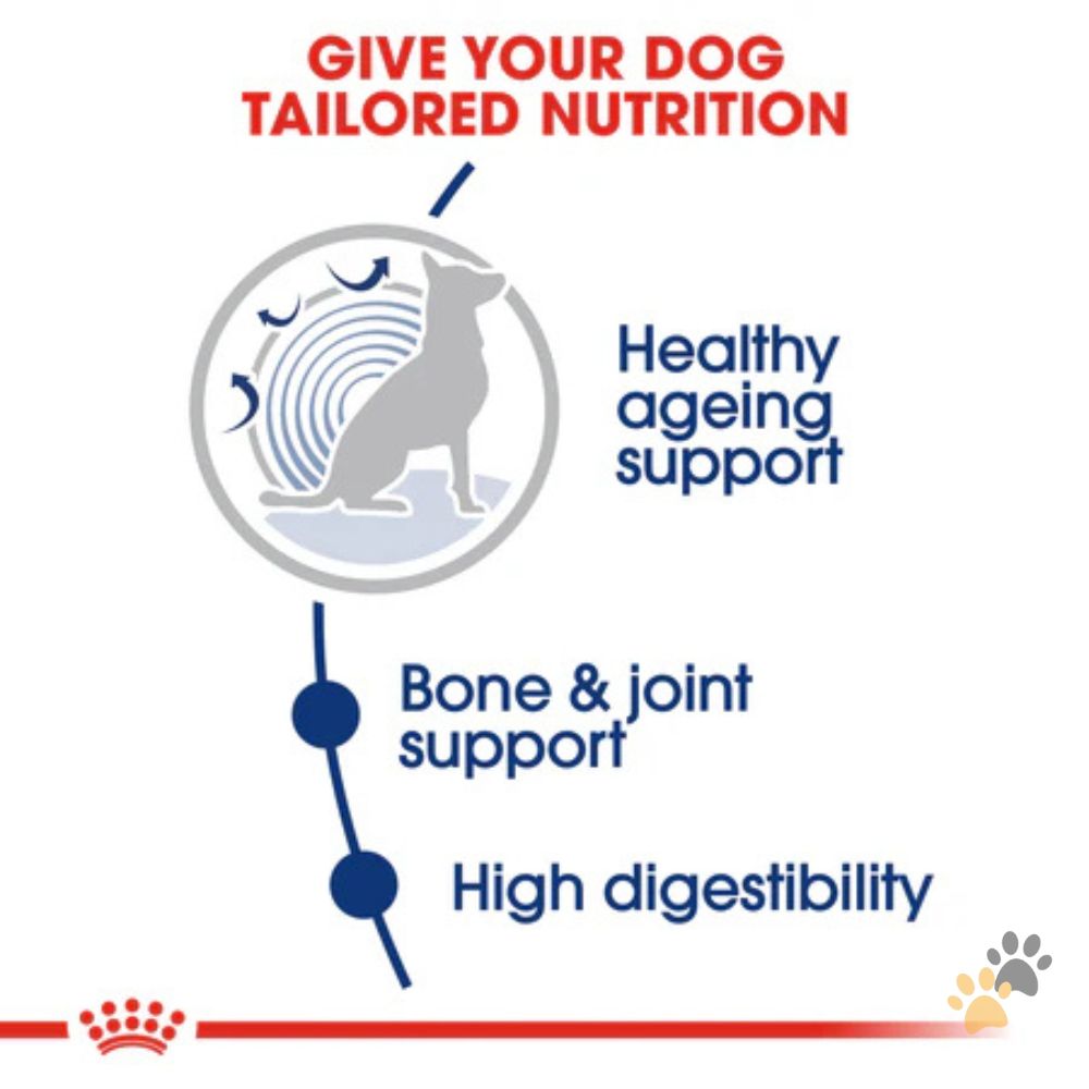 ROYAL CANIN SIZE HEALTH NUTRITION MAXI AGEING 8+