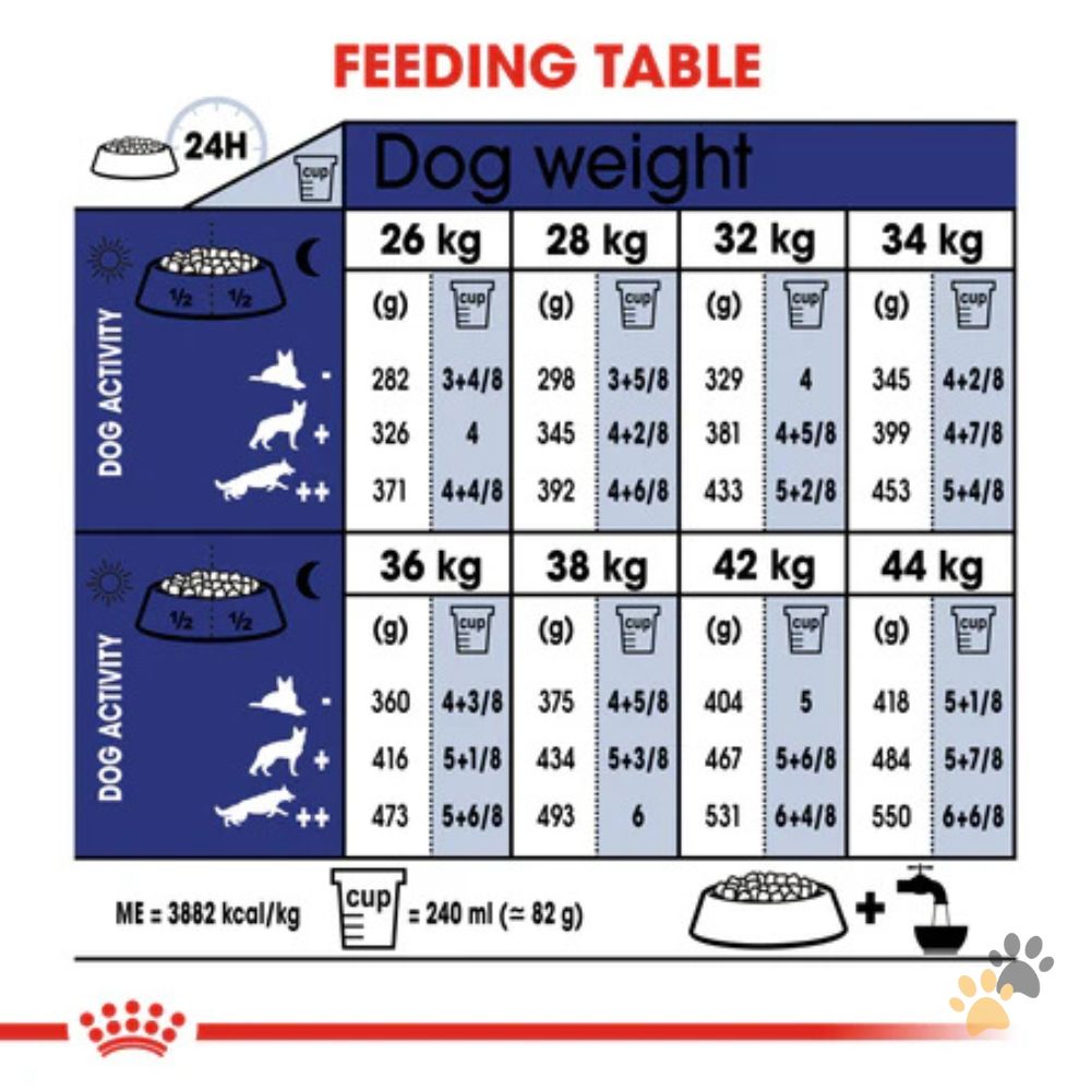 ROYAL CANIN SIZE HEALTH NUTRITION MAXI AGEING 8+