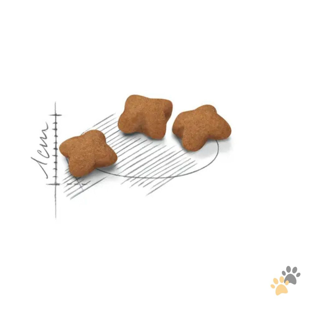 ROYAL CANIN KITTEN STERILISED DRY FOOD