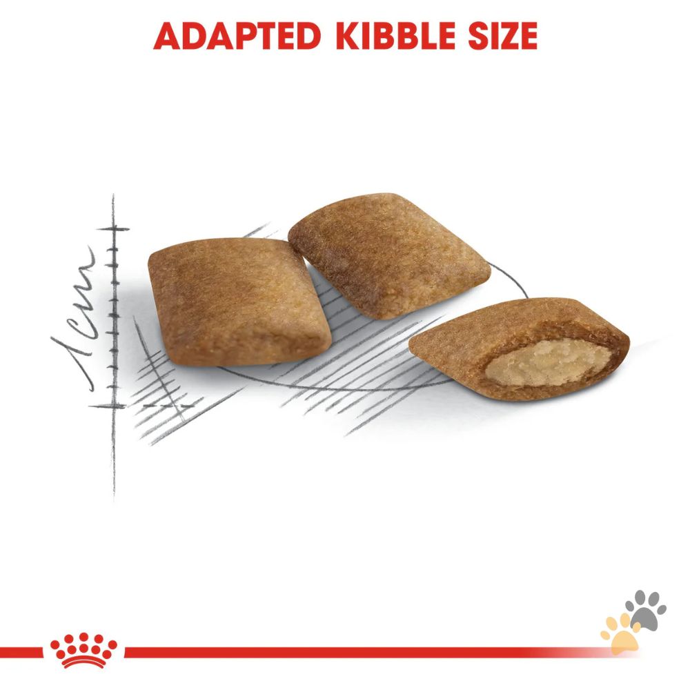 ROYAL CANIN FELINE HEALTH NUTRITION +12 DRY CAT FOOD