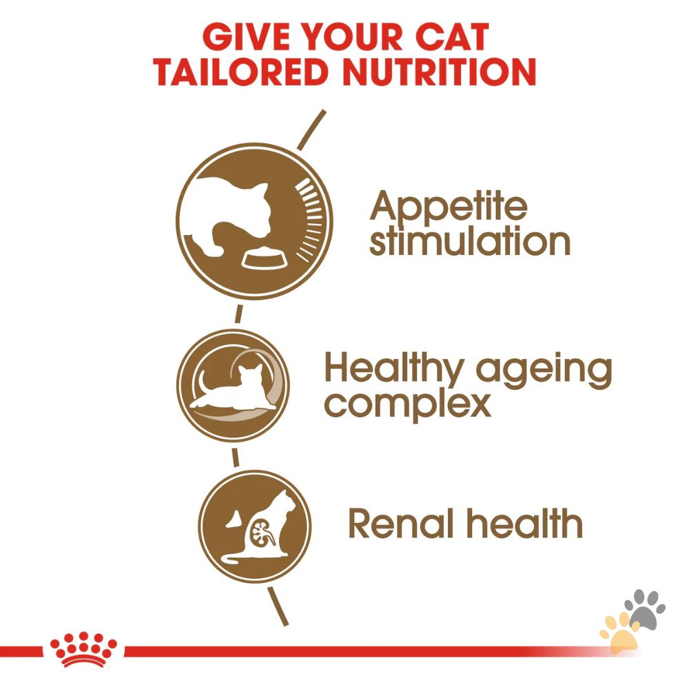 ROYAL CANIN FELINE HEALTH NUTRITION +12 DRY CAT FOOD