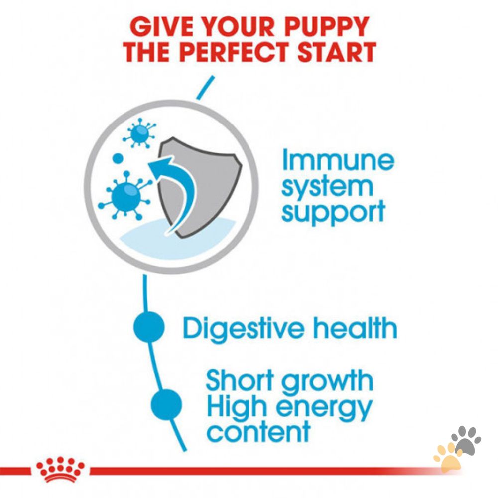 ROYAL CANIN MEDIUM PUPPY DOG WET FOOD - 140G