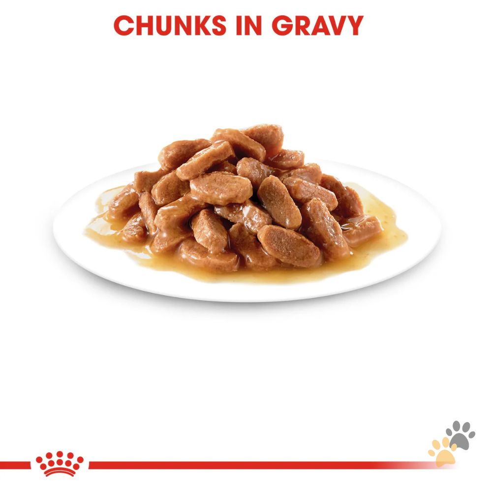ROYAL CANIN KITTEN GRAVY - 85G